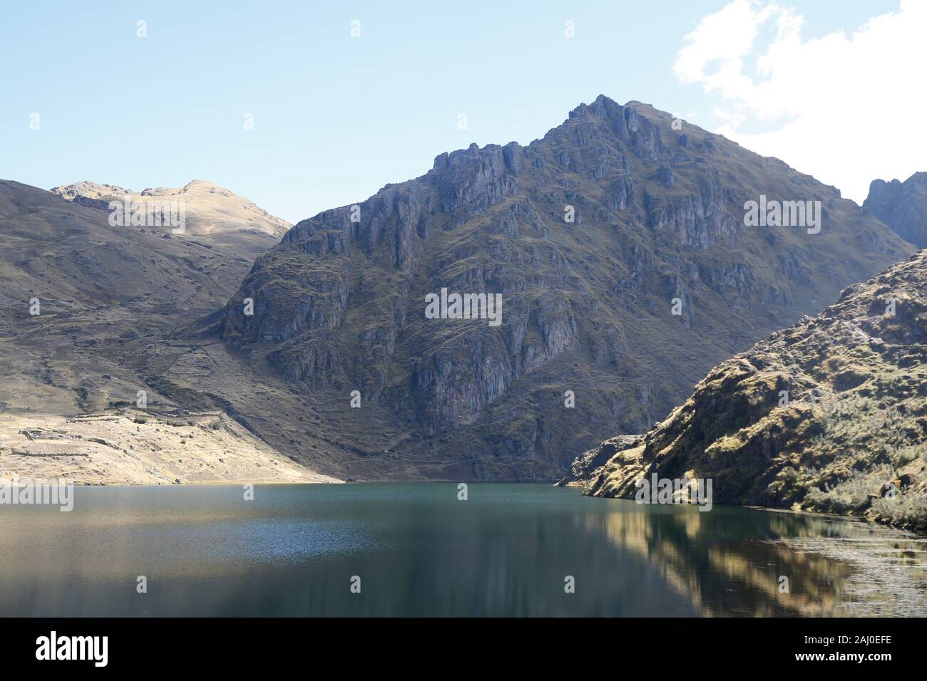 Nature in the andes region, Peru Stock Photo - Alamy