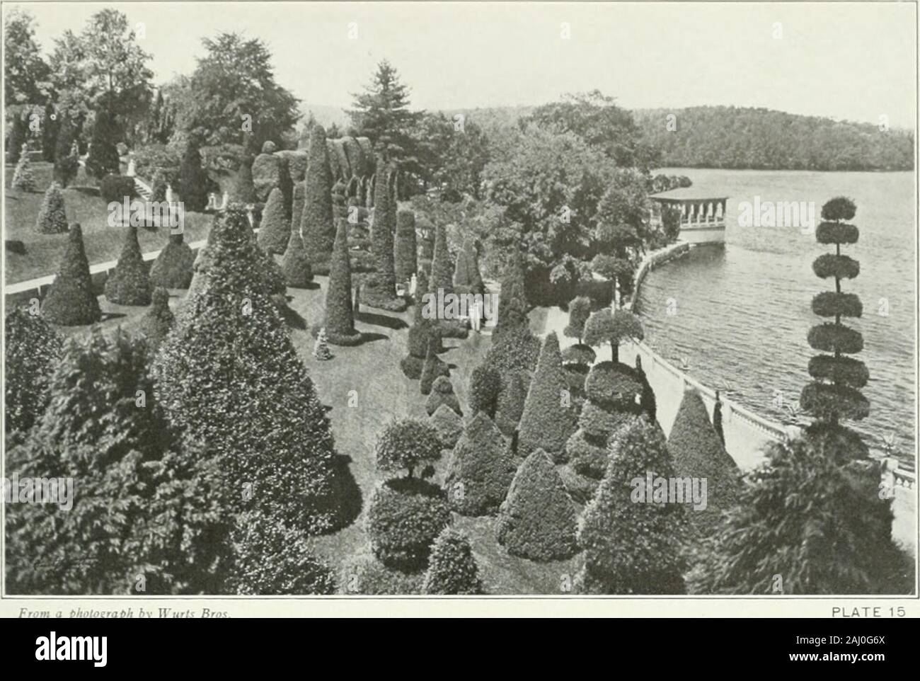 Beautiful gardens in America . From a pfu/tograpk by Thomas Marr and Son Weld, Brookline, Mass. Mrs. Larz Anderson PLATE 14. From a plwlo^raph by Vurt$ Bi PLATE 15 Wilk-sley, Mass. H. H. Hunnewell, Esq. Stock Photo