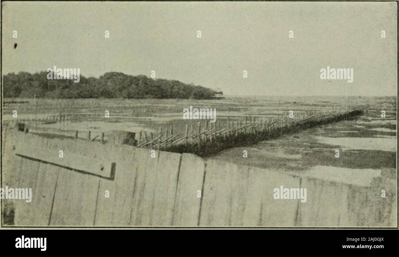 Piling shell hi-res stock photography and images - Alamy