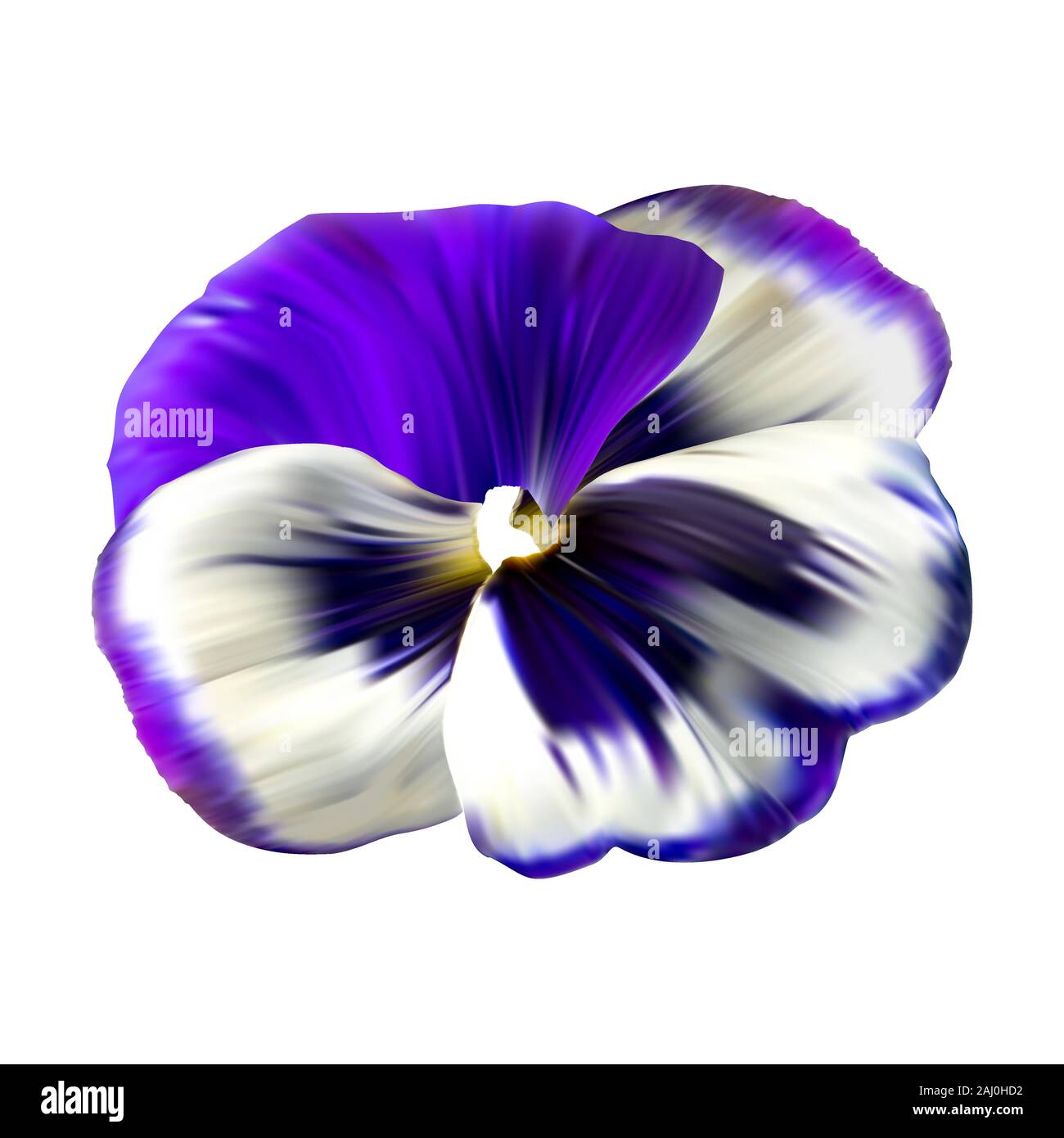 Colorful flower background with pansies flowers. Winter natural flower Wallpaper. Stock Vector