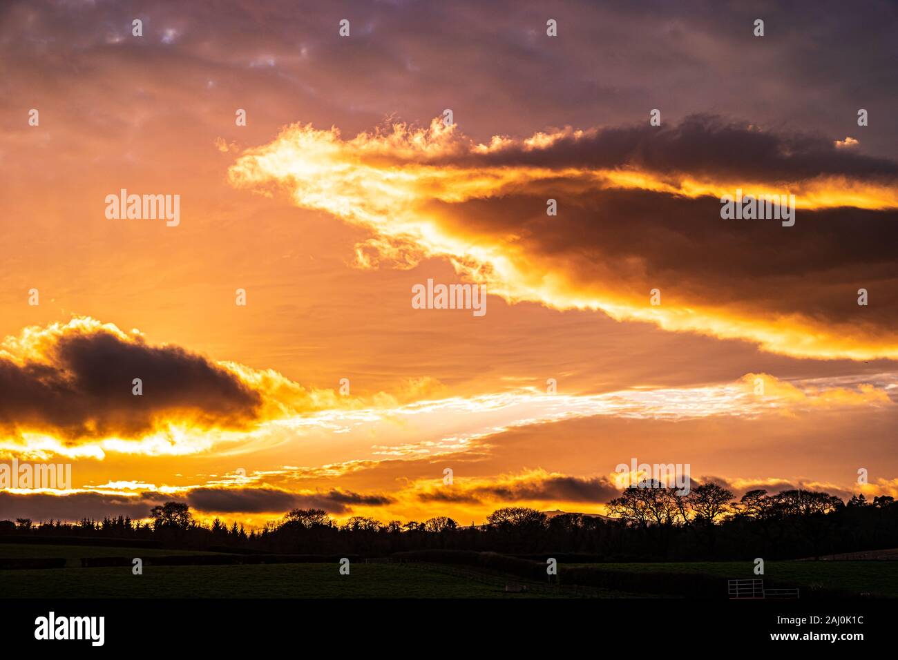 December sunset with glowing clouds and blue sky. Stock Photo