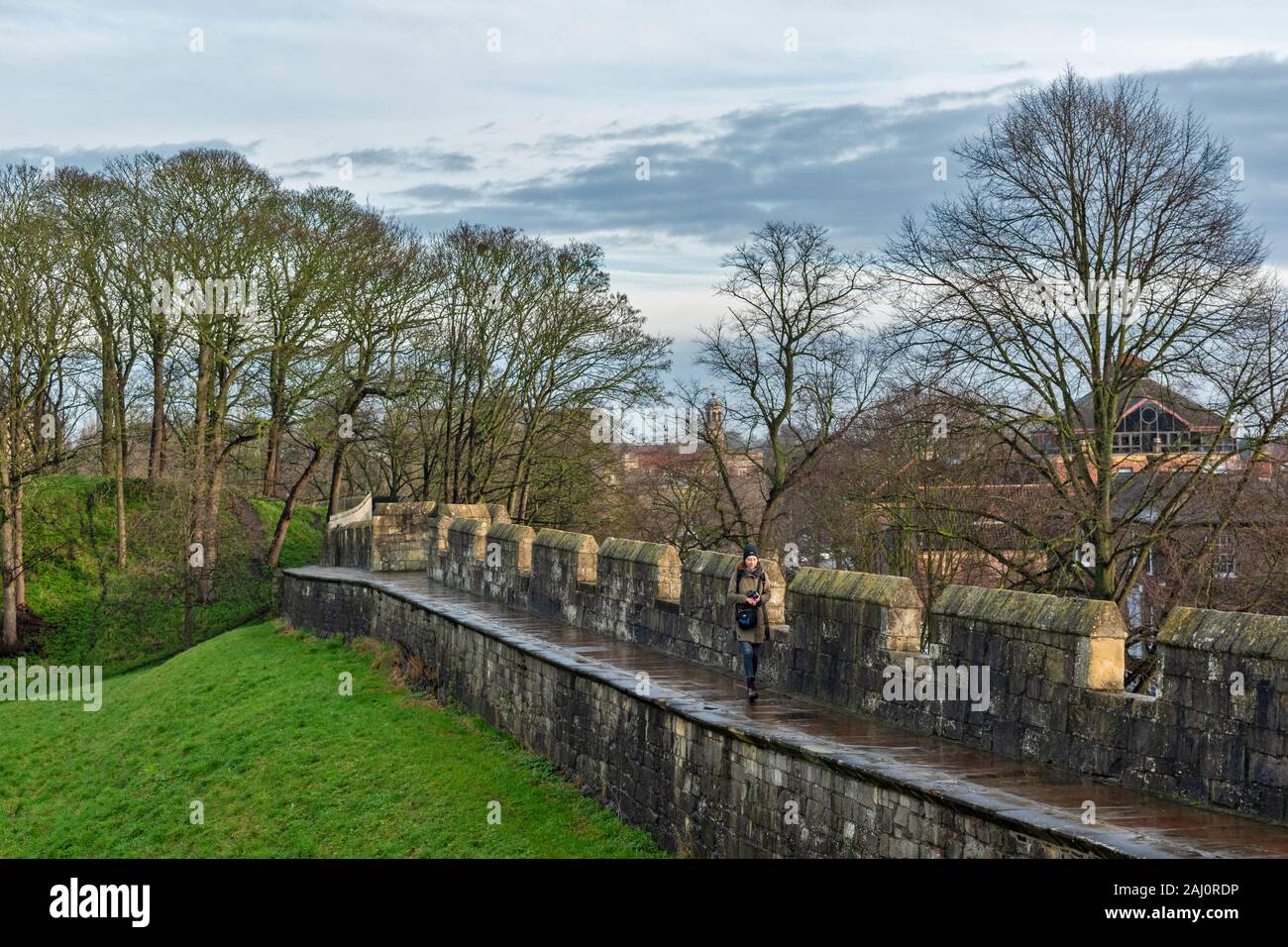 YORK ENGLAND A WALKER ON THE WALLS AT BAILE HILL Stock Photo