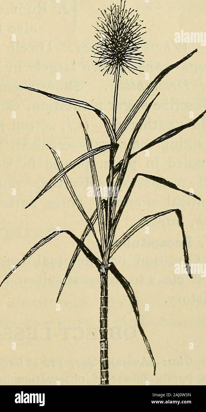 notes-of-lessons-on-the-herbartian-method-based-on-herbart-s-plan