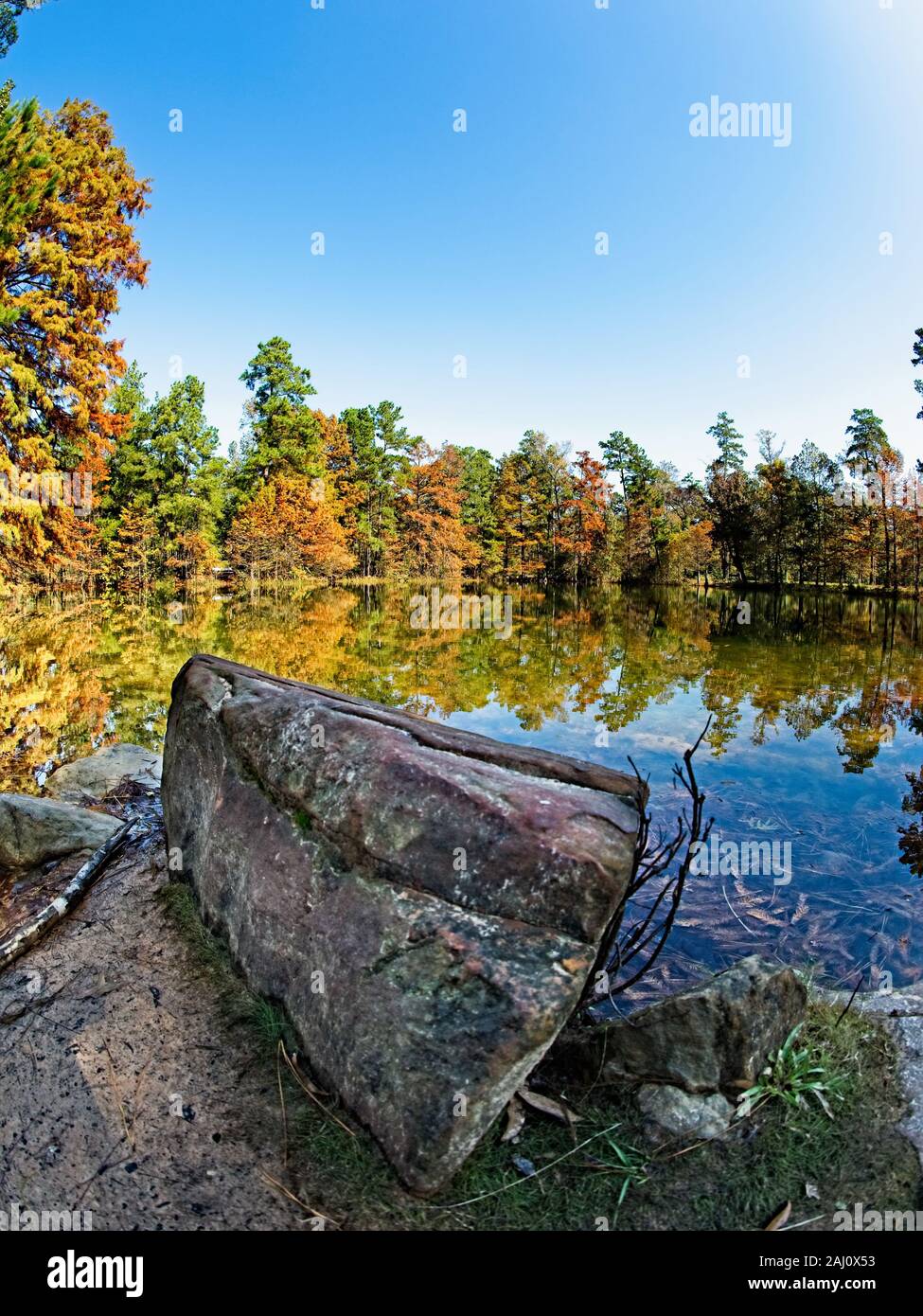 Conroe, TX USA 11/15/2019 Rock by Lake with Fall Colored Trees Stock Photo Alamy
