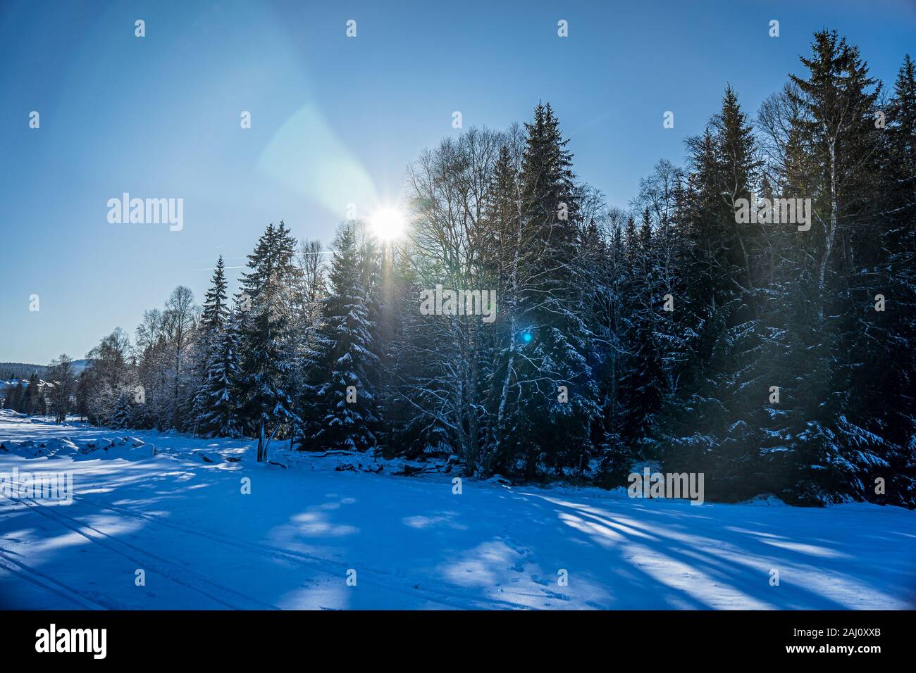 The Bohemian Forest Known In Czech As Sumava Is A Low Mountain Range In Central Europe They Create A Natural Border Between The Czech Republic Stock Photo Alamy