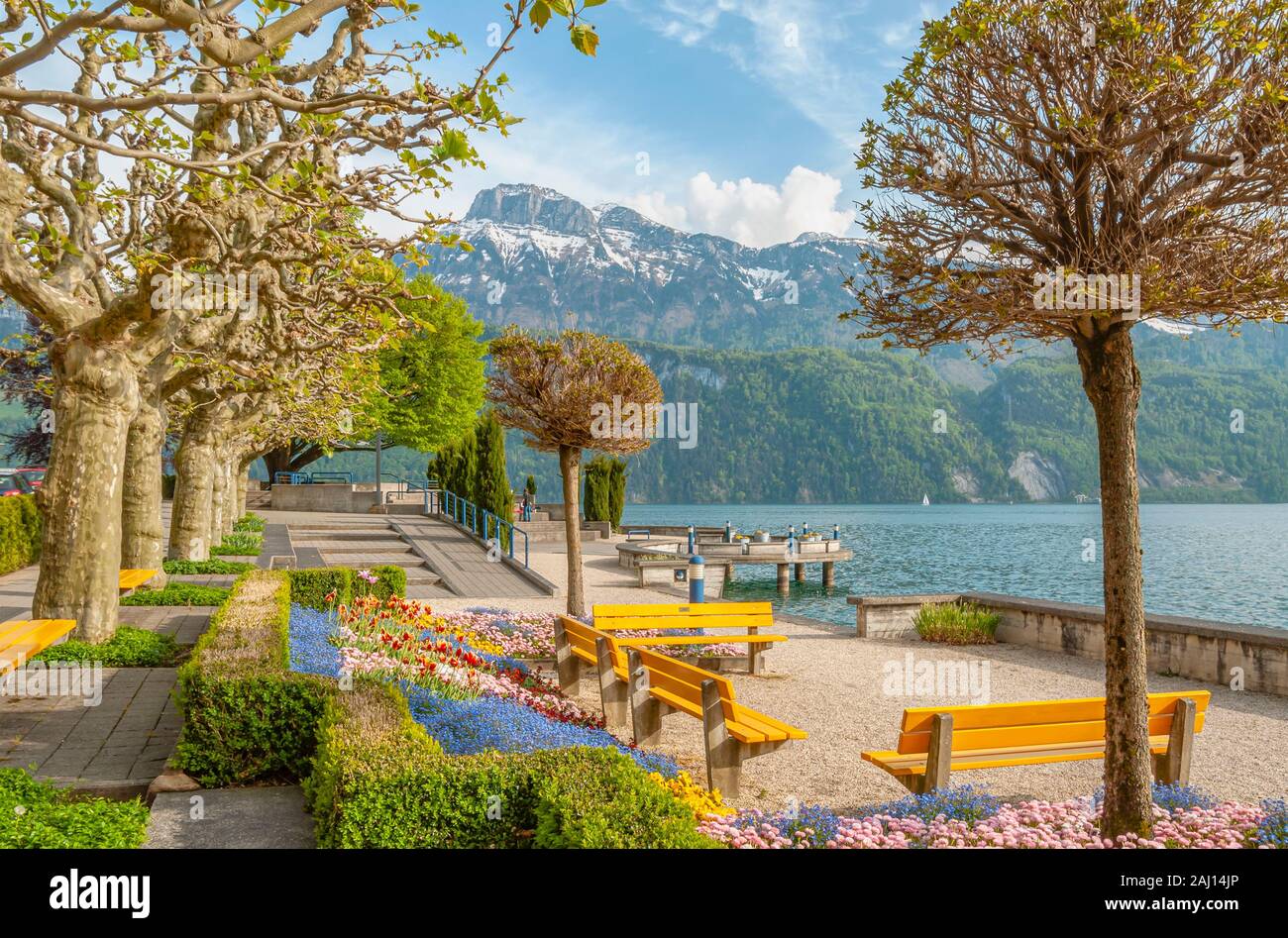 Lakeside promenade of Gersau in Spring, Lake Lucerne, Switzerland Stock Photo