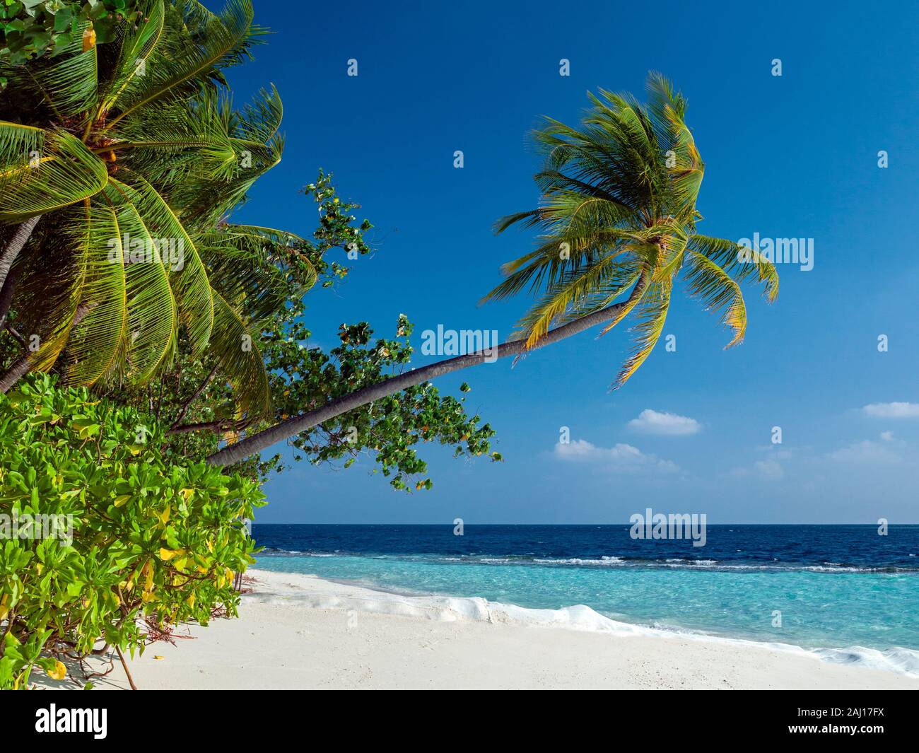 Idyllic tropical island paradise in the Maldives - Indian Ocean Stock Photo