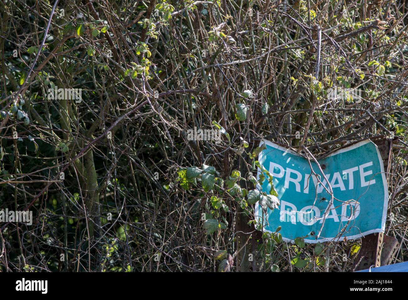 Off the beaten track. Road less travelled. Secluded rural path private road sign in overgrown hedge row. Isolated pathway to mysterious country reside Stock Photo