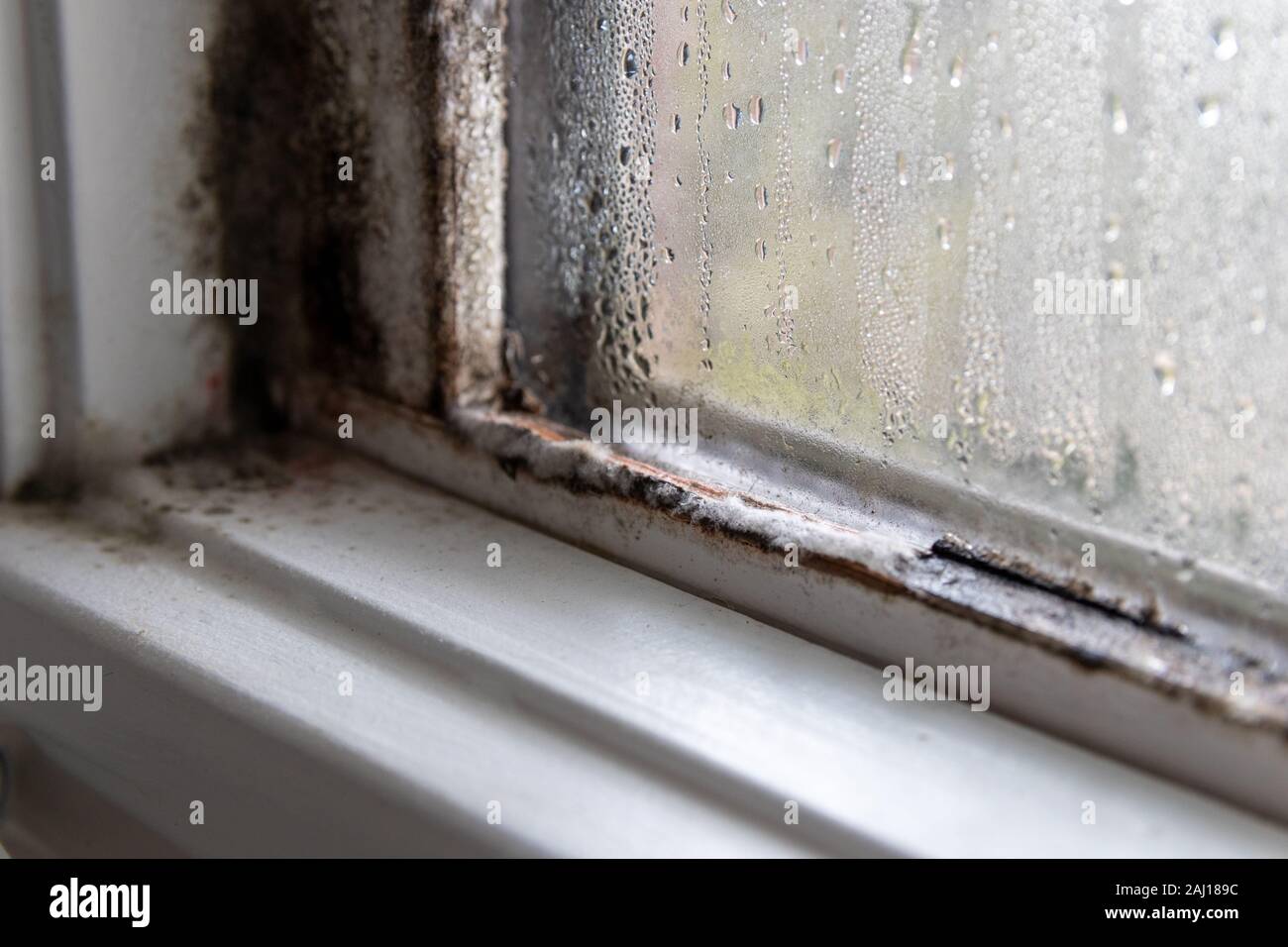 Mold fungus and moist in left corner of window frame and on glass Stock