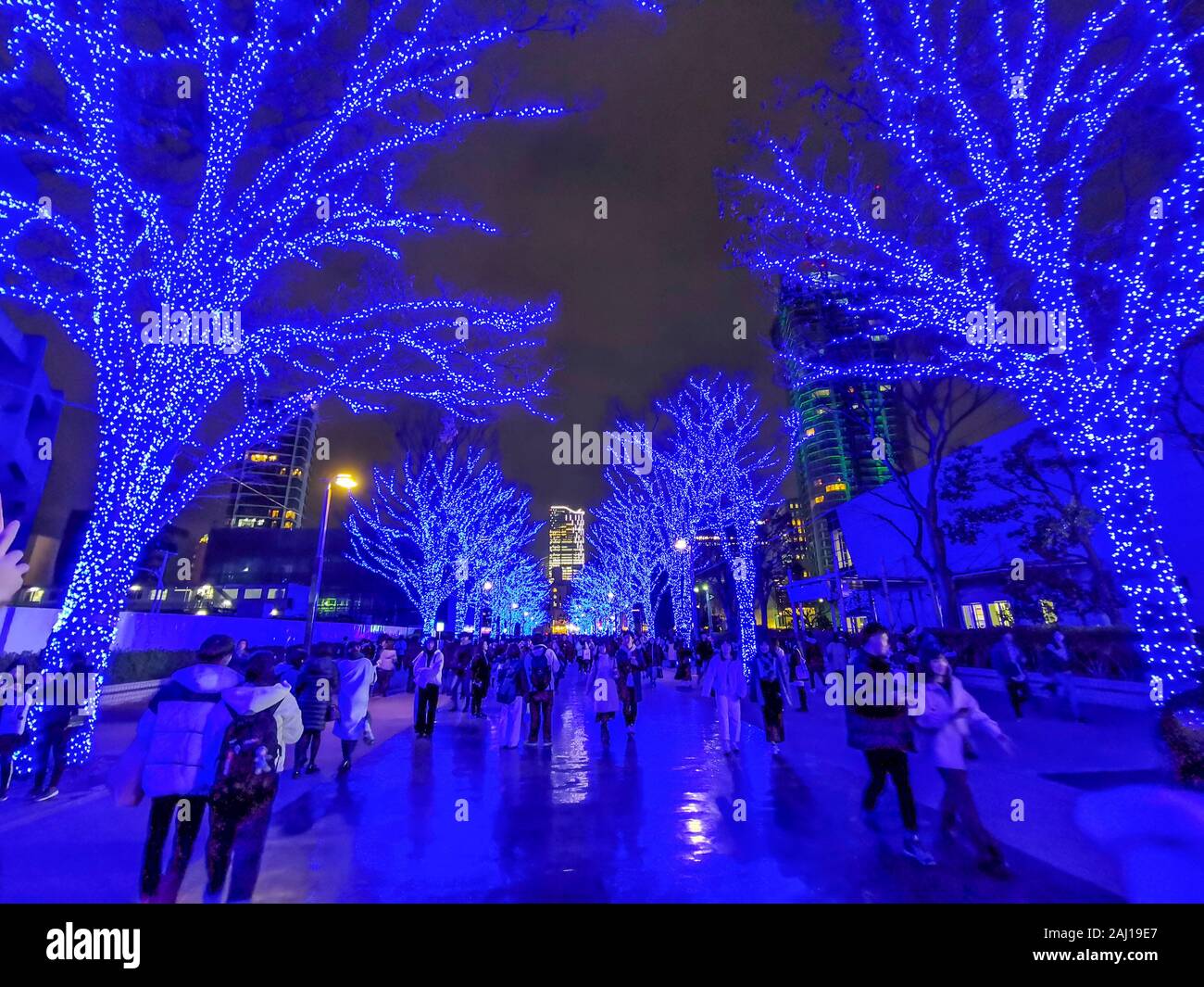 SHIBUYA BLUE CAVE ILLUMINATIONS, TOKYO Stock Photo