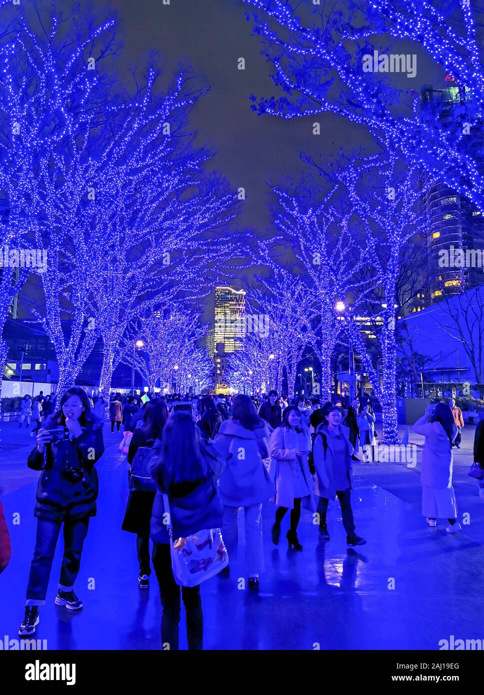 SHIBUYA BLUE CAVE ILLUMINATIONS, TOKYO Stock Photo