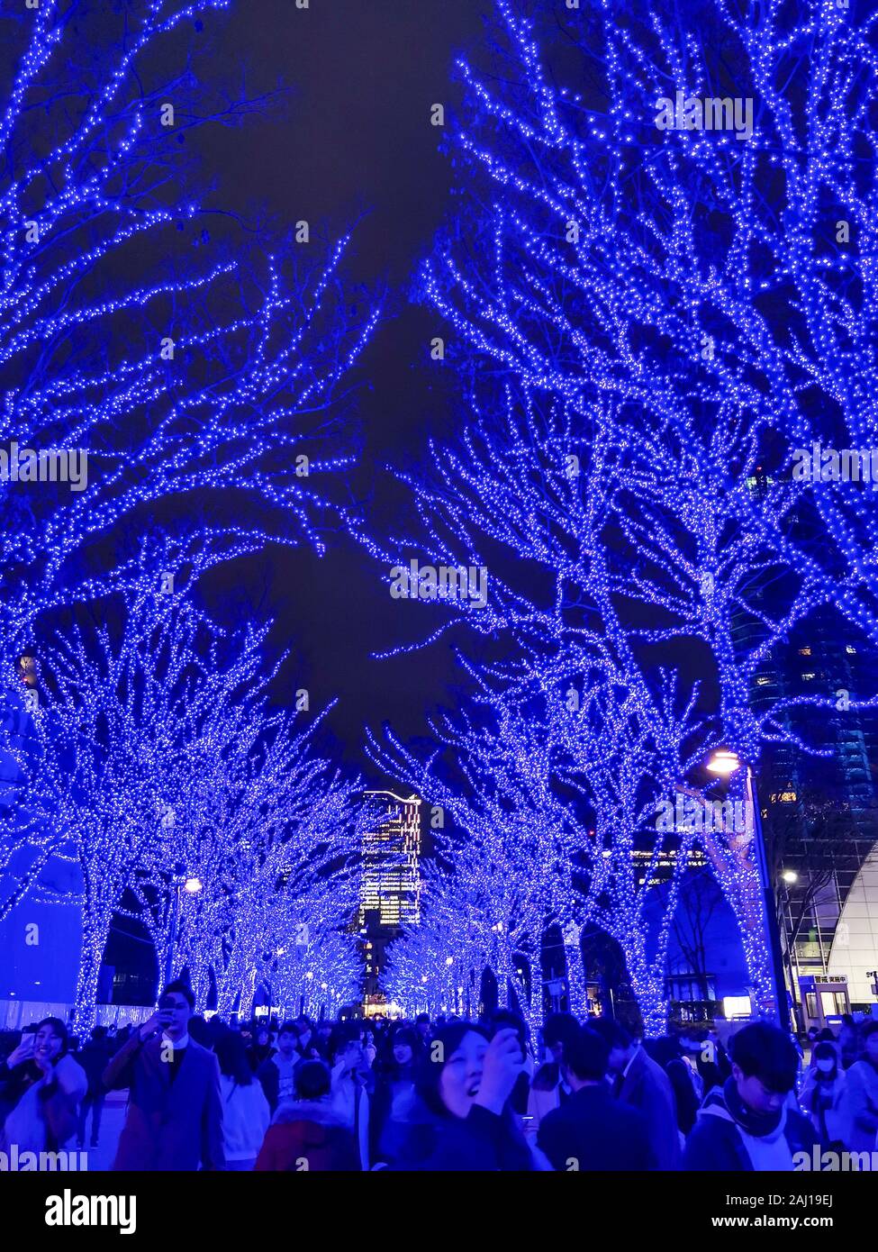 SHIBUYA BLUE CAVE ILLUMINATIONS, TOKYO Stock Photo