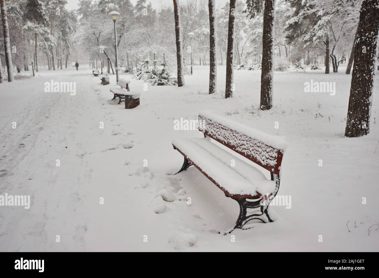 Benches in the winter city park. Filled up with snow. Snow covered ...