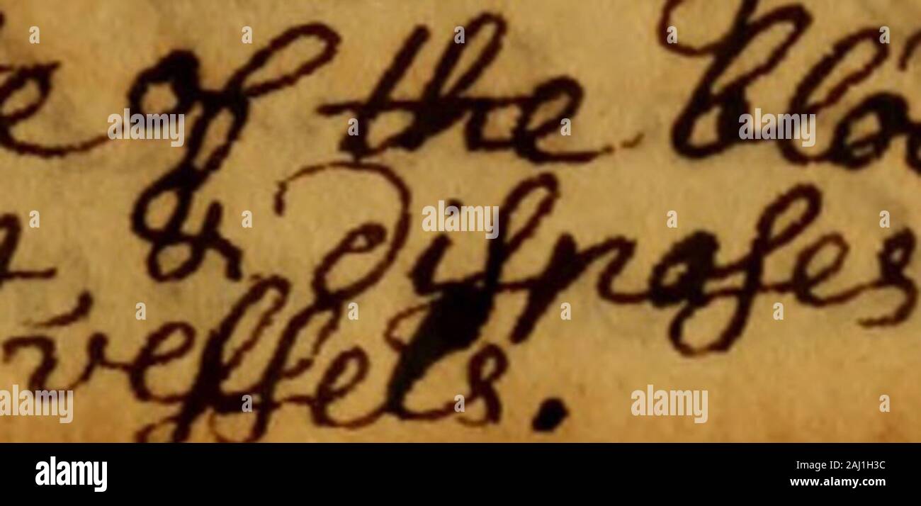 Osborn S Notebooks Manuscript Tj Gt In H Jrkbsl J I Avejdbiy Oy Rta Ulcju Xi4 L Gt I Ttmu4 B Arts F Fo V M To I Umk T N 4 Warn L Mt Gt N Ejjt Rr Gt If 7u Gt Y Mil R Lt