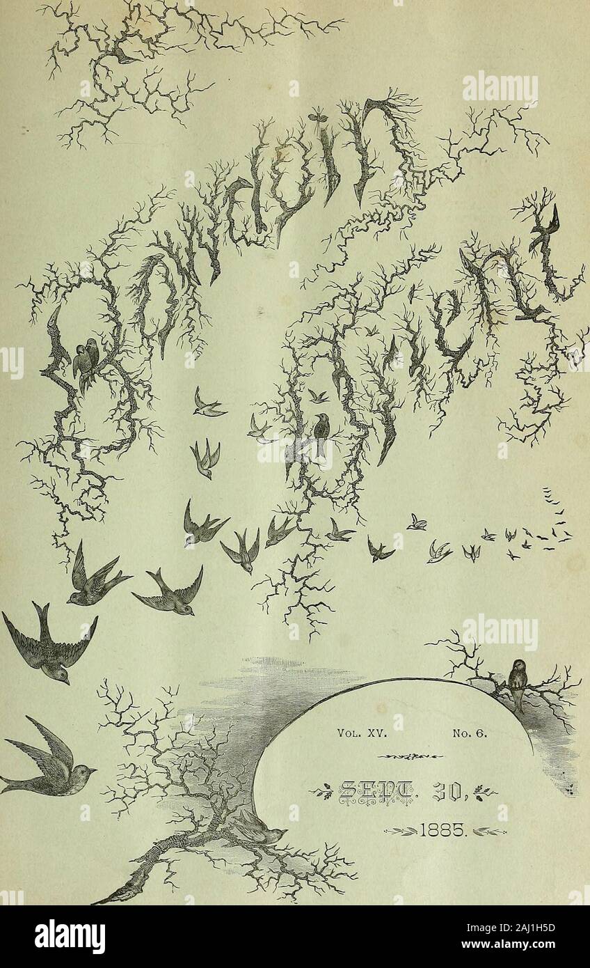 picture Orient Light Catalogue alamy