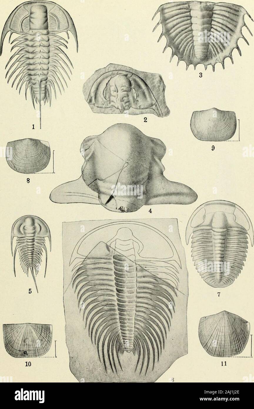 Jurassic rocks map hi res stock photography and images Alamy