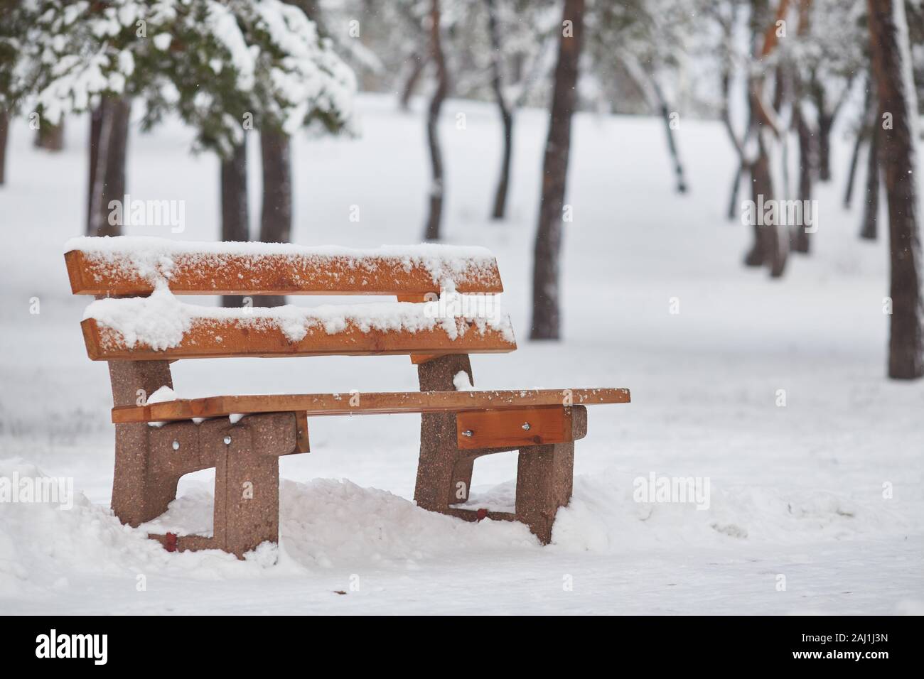 Benches in the winter city park. Filled up with snow. Snow covered ...
