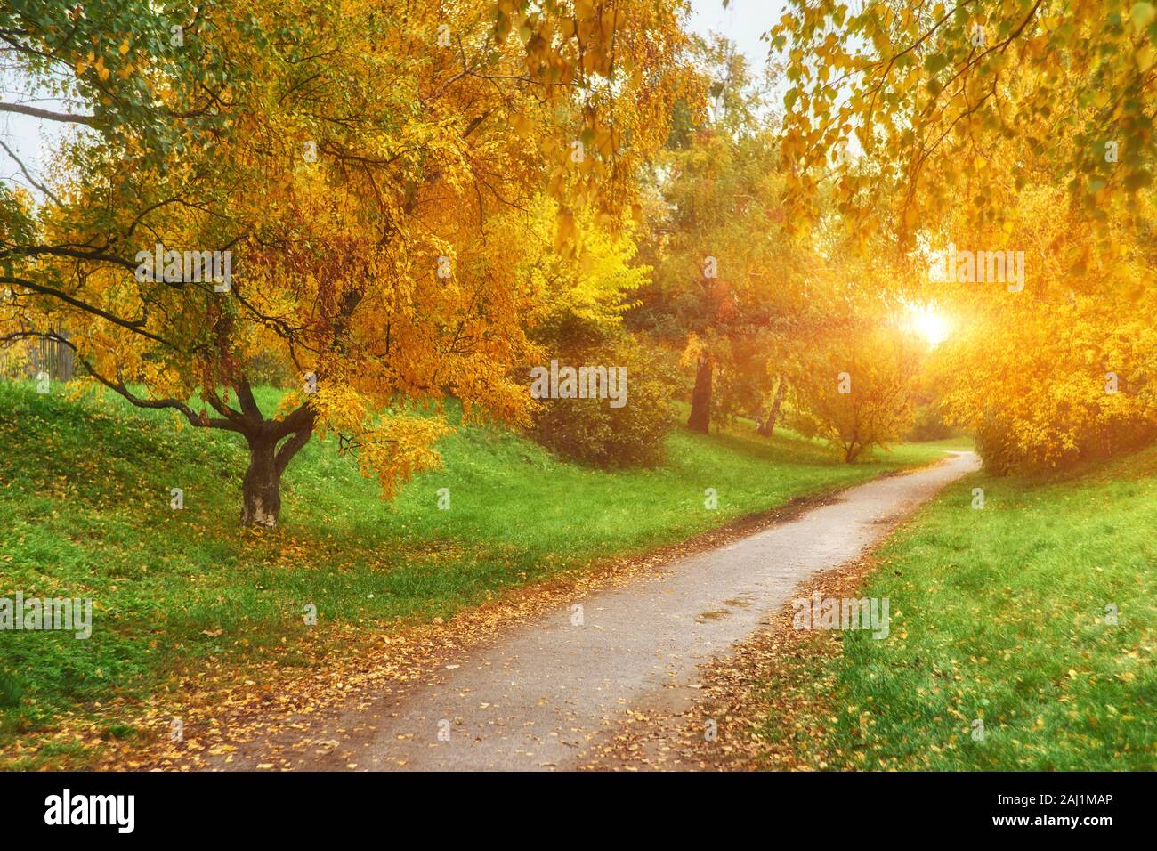 Beautiful romantic alley in a park with colorful trees and sunlight ...