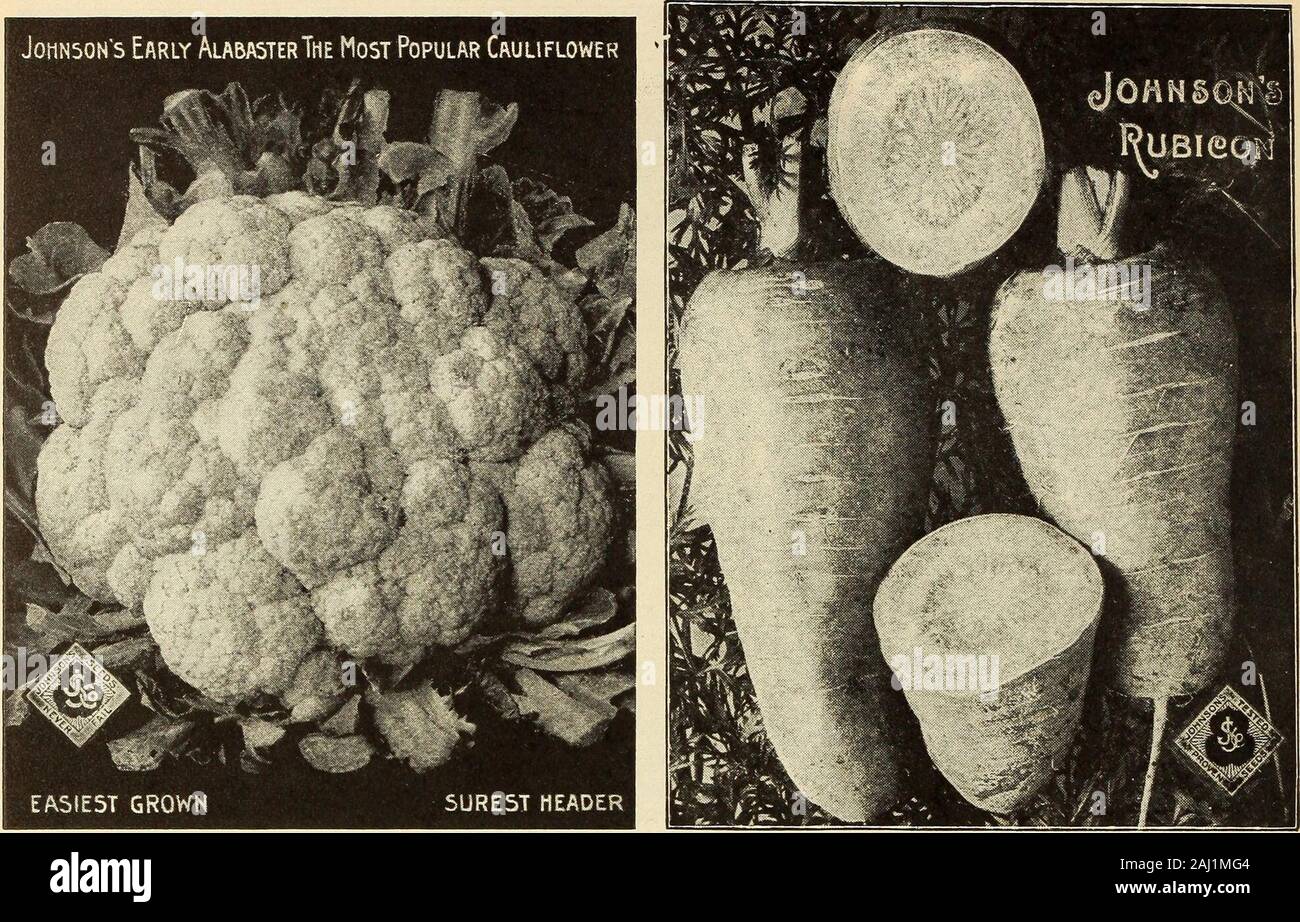 Johnson S Garden Farm Manual 1913 26 Johnson Seed Company