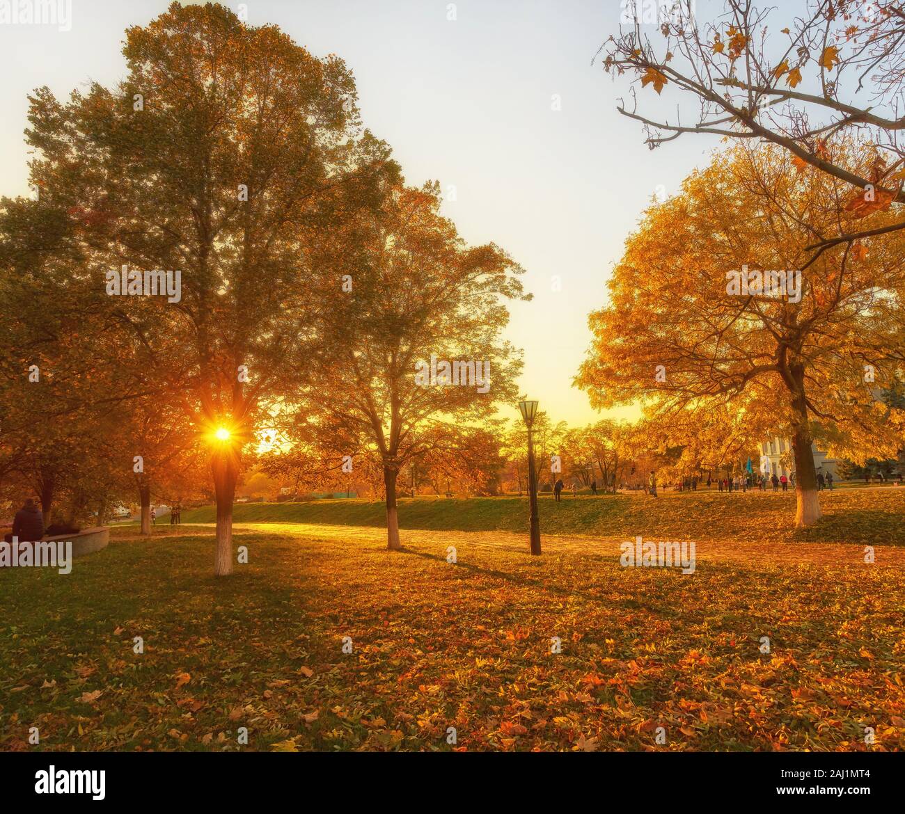 Beautiful romantic alley in a park with colorful trees and sunlight ...