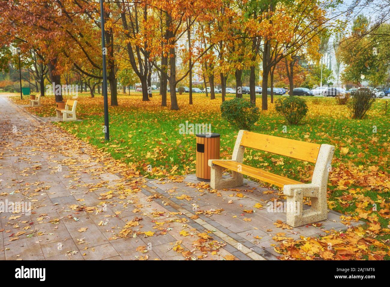 Park with bench on alley in yellow autumn Stock Photo - Alamy