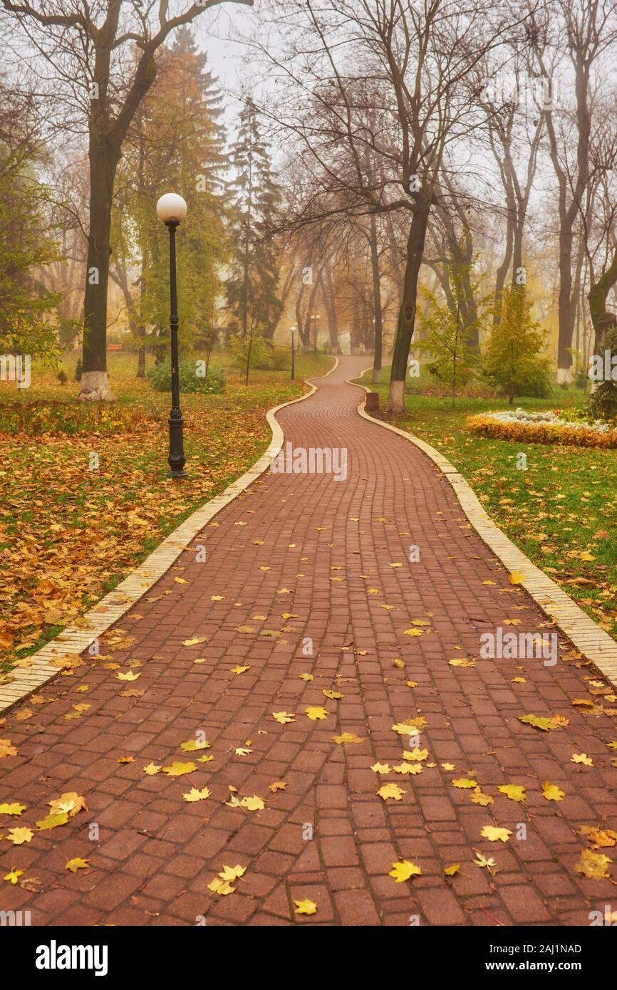 Beautiful romantic alley in a park with colorful trees and sunlight ...