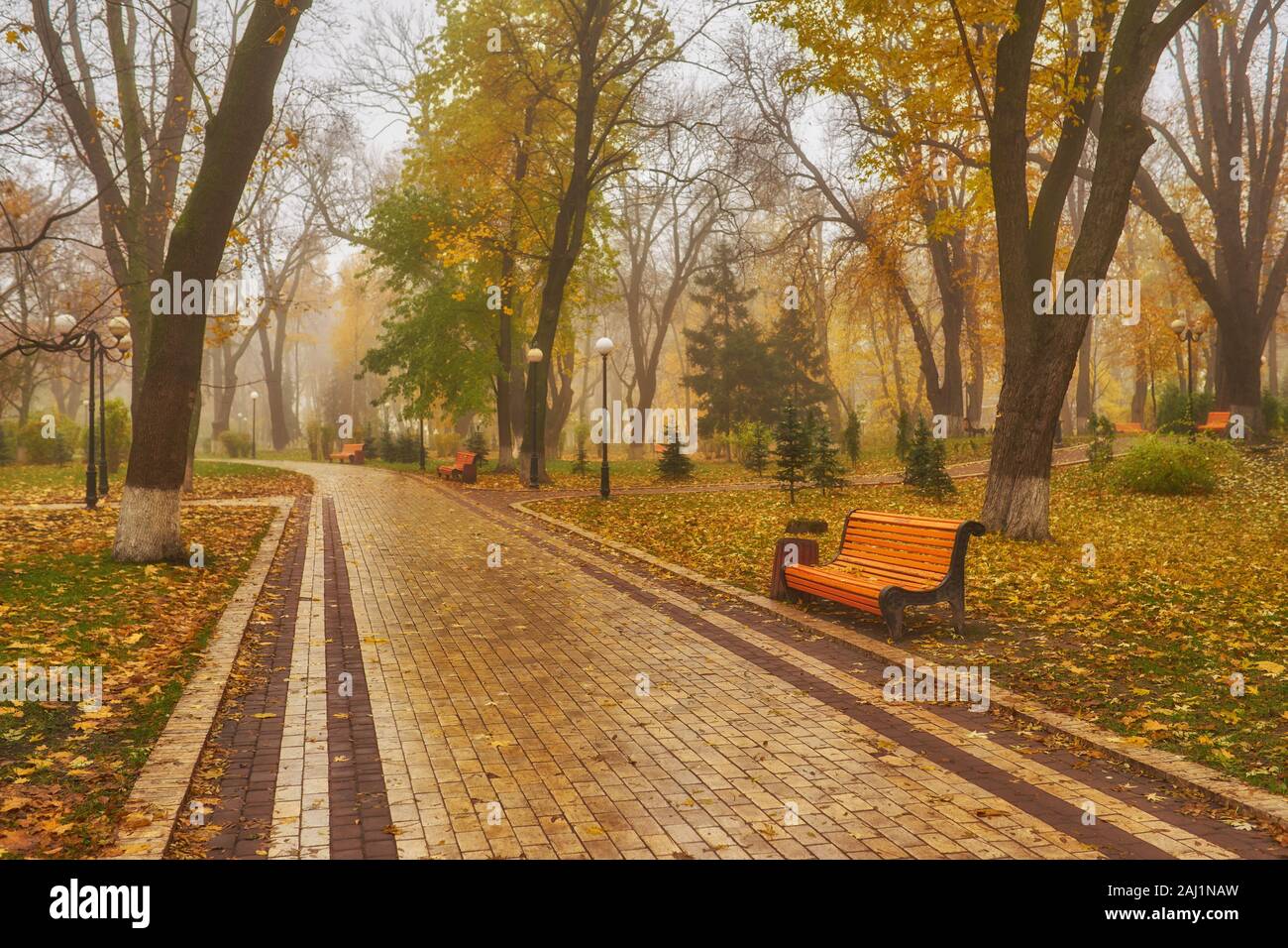 Park with bench on alley in yellow autumn Stock Photo - Alamy