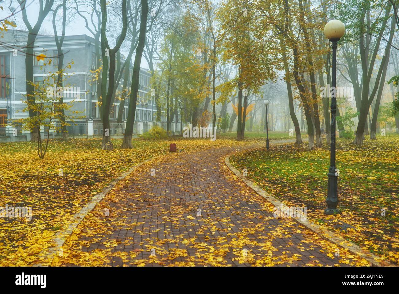 Beautiful romantic alley in a park with colorful trees and sunlight ...