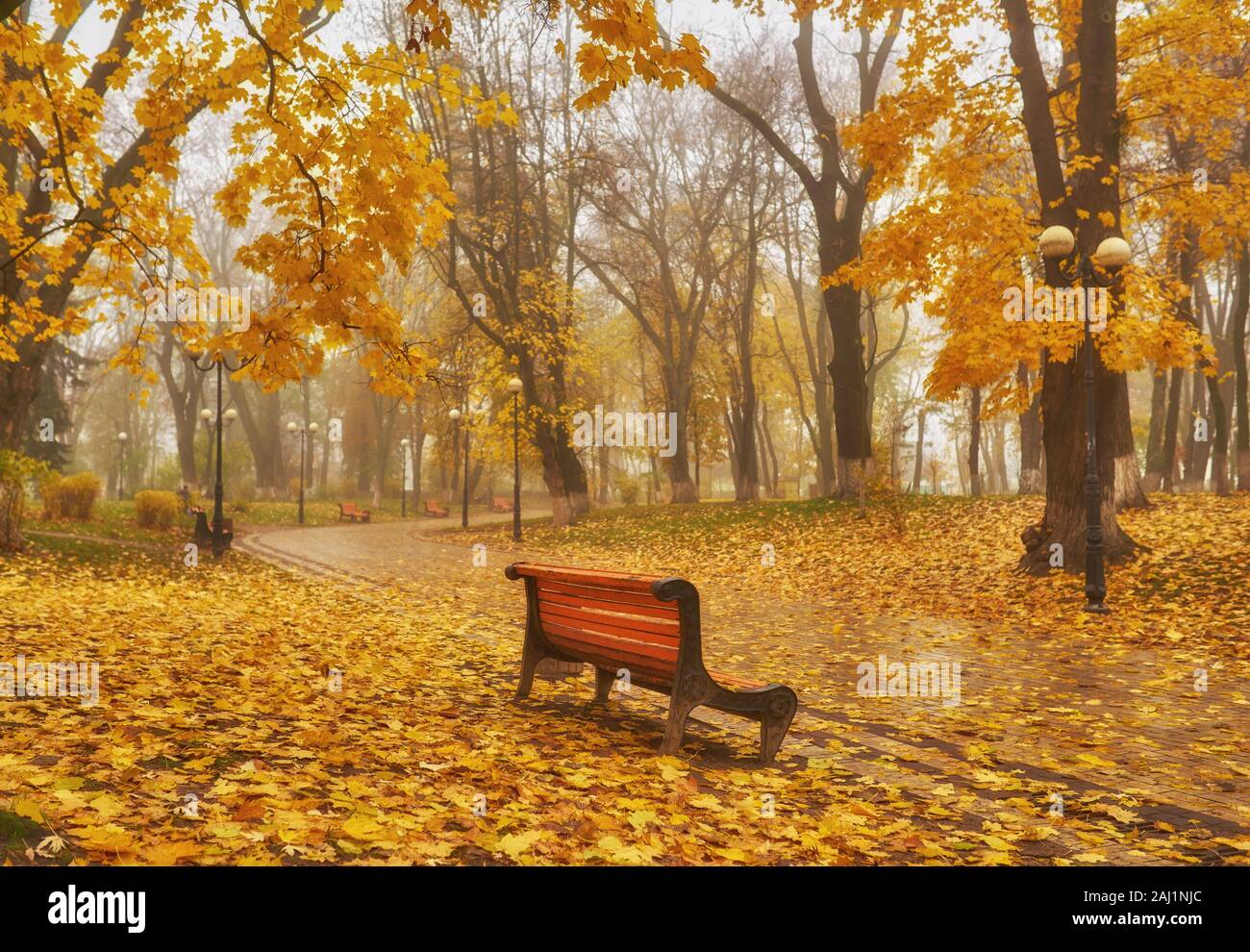 Park with bench on alley in yellow autumn Stock Photo - Alamy