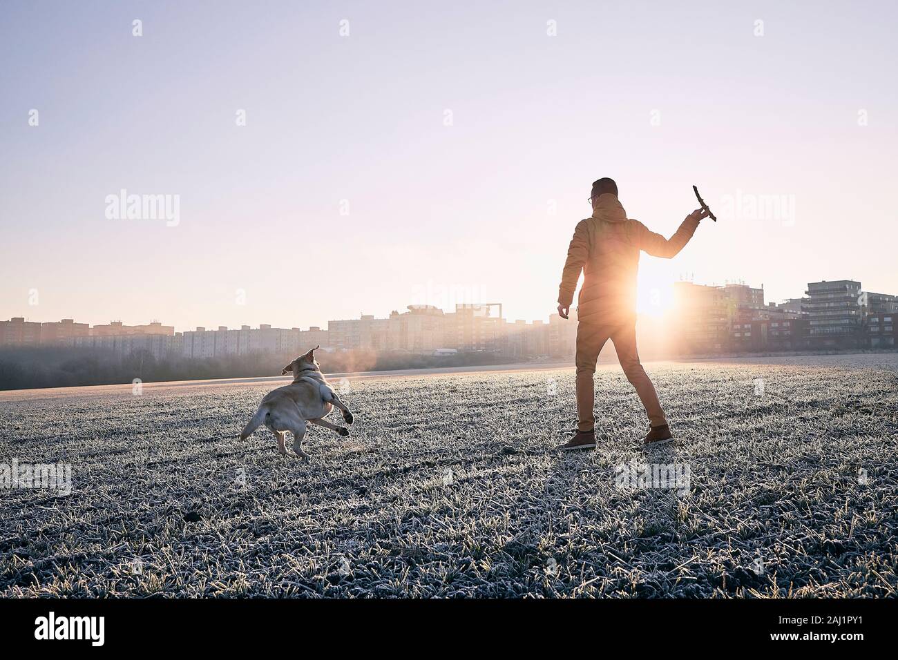 Frosty morning with dog. Young man walking with his dog against cityscape at sunrise. Stock Photo