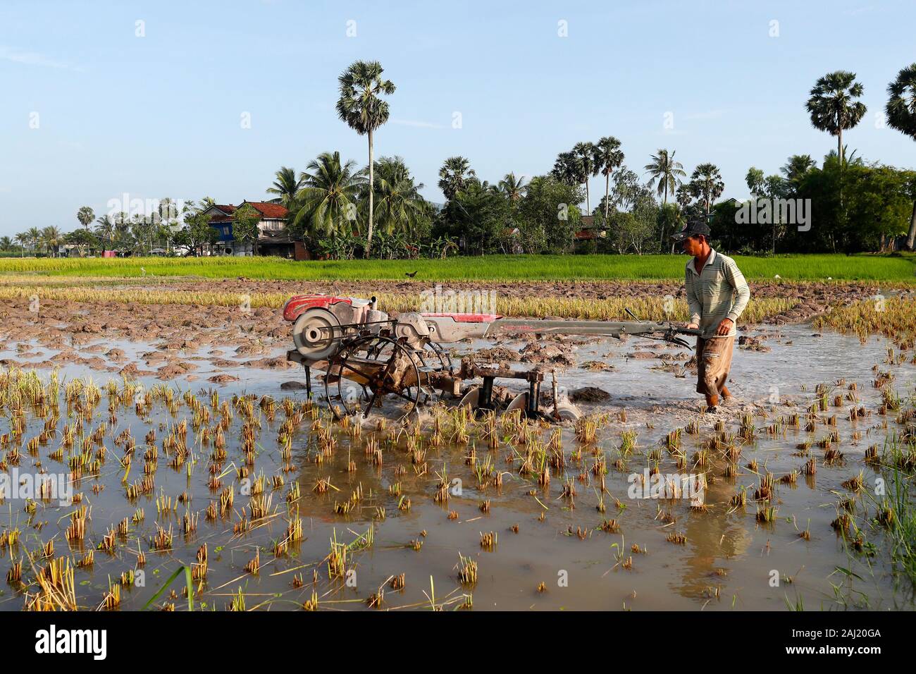 Asian farmer plowing rice field with a tractor, Kep, Cambodia, Indochina, Southeast Asia, Asia Stock Photo