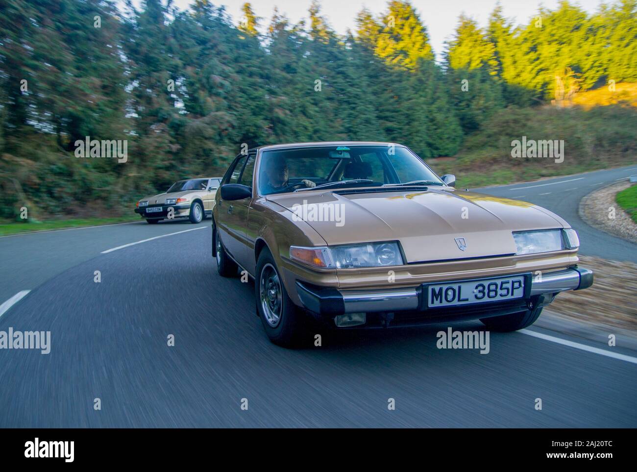 Rover SD1 cars driving together - 1985 2.4 diesel (left) and 1976 3500 V8 (right), classic British cars Stock Photo