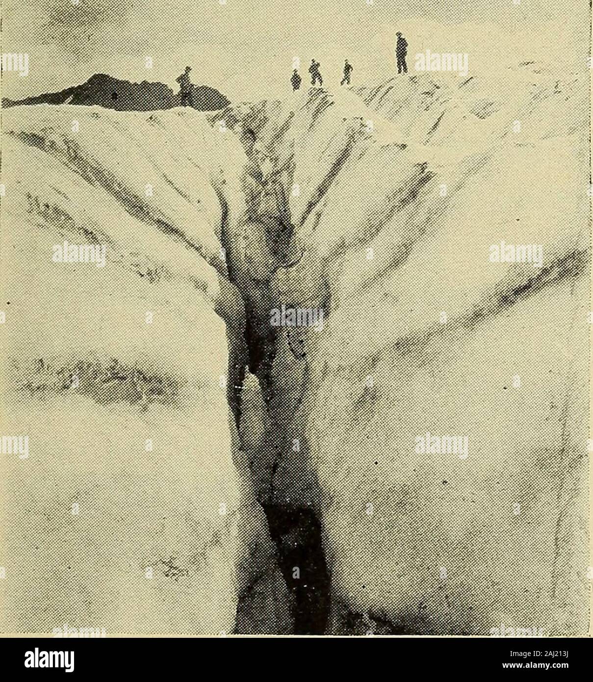 Page 11 - Two Right Feet High Resolution Stock Photography and 