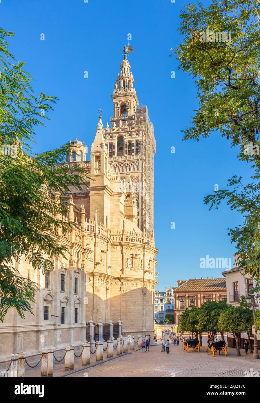 Seville Cathedral of Saint Mary of the See, and La Giralda bell tower, UNESCO, Seville, Andalusia, Spain, Europe Stock Photo