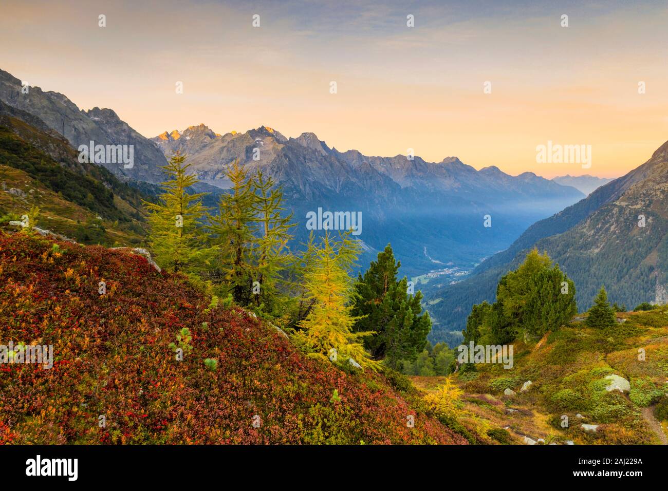 Autumnal colors lit by sunrise, Maloja Pass, Val Bregaglia, Engadine, Canton of Graubunden, Switzerland, Europe Stock Photo