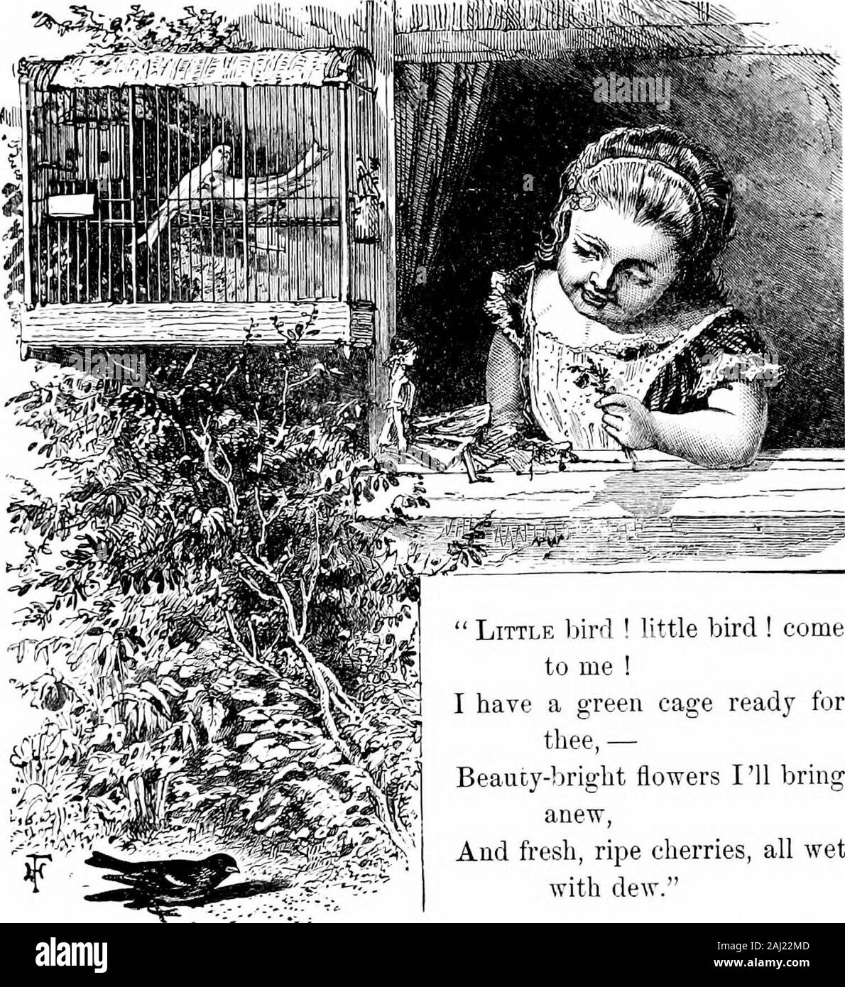 Child life: a collection of poems . work and folded it right,And said, Dear w-ork, good-night, good-night I Such a number of rooks came over her head,Crying Caw ! Caw ! on their way to bed,She said, as she watched their curious flight, Little black things, good-night, good-night 1 The horses neighed, and the oxen lowed, The sheeps Bleat ! Bleat ! came over the road ; All seeming to say, with a quiet delight, Good little girl, good-night, good-night ! She did not say to the sun, Good-night I Though she saw him there like a ball of light ;For she knew he had Gods time to keepAll over the world, Stock Photo