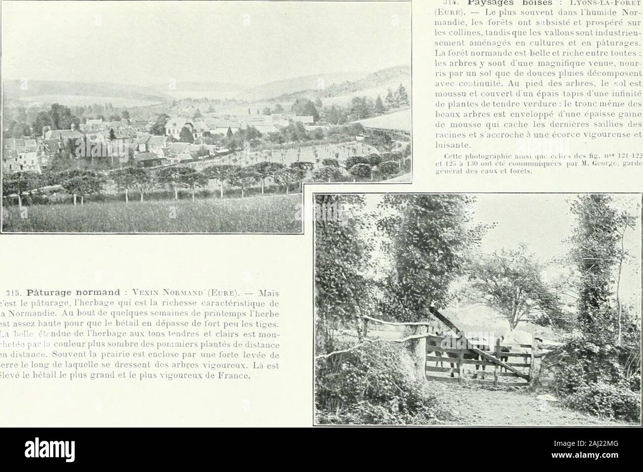 Album géographique: La France . st trappant entre la plaie et large vallée du ûeuvoqui serpente à travers des prairies, et les rempartsde craie au pied desquels les eaux viennent buterpour dessiner une nouvelle boucle. On cite, parmi lespaysages de ce genre, la colline de Bon-Secours etSaint-Adrien, près do Rouen. 16 122 ALBUM GÉOGRAPHIQUE rjU. Paysages boisés : Lyons-la-Forêt(Mukt:). — Le plus souvent dans Ihuniide Nor-mandie, les torêts ont snbsislè et prospéré surles collines, tandis que les vallons sont induslrieu-souient aaxonagés en cultures et en pâturag^es.La torèt normande est belle e Stock Photo