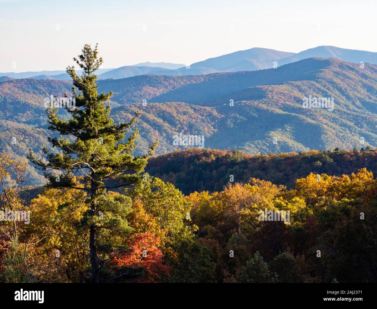 Autumn view of the mountains from the Blue Ridge Parkway, Appalachia, North Carolina, USA, North America Stock Photo