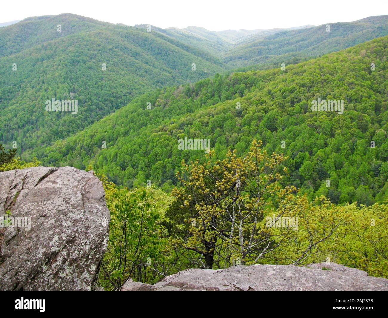 View of Blue Ridge Mountains, North Carolina, USA, North America Stock Photo