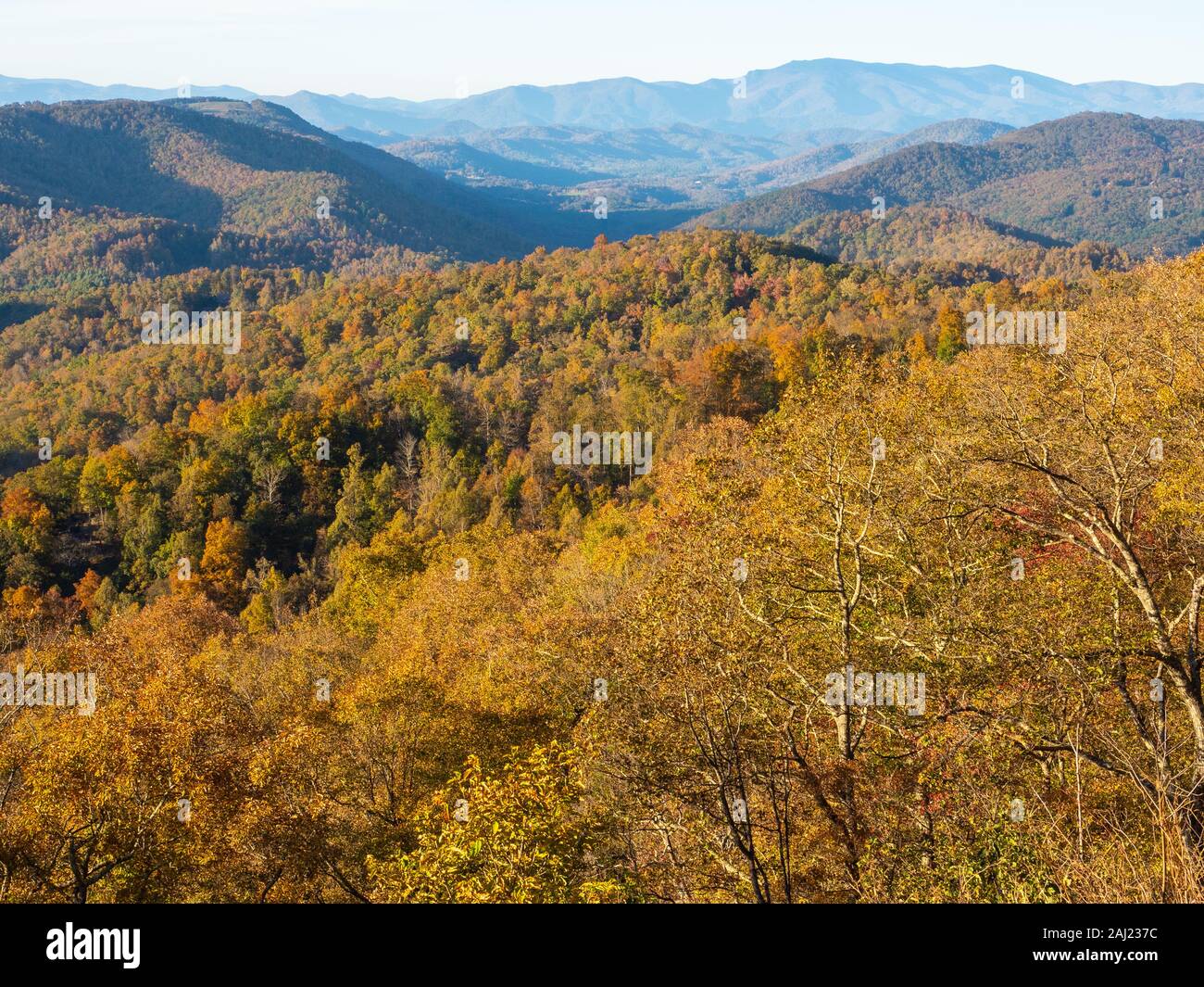 Autumn view of the mountains from the Blue Ridge Parkway, Appalachia, North Carolina, USA, North America Stock Photo