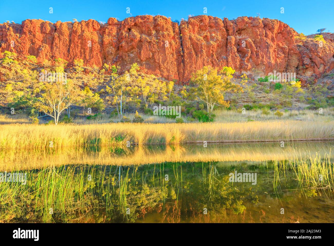Scenic red sandstone wall and bush vegetation reflected in waterhole ...