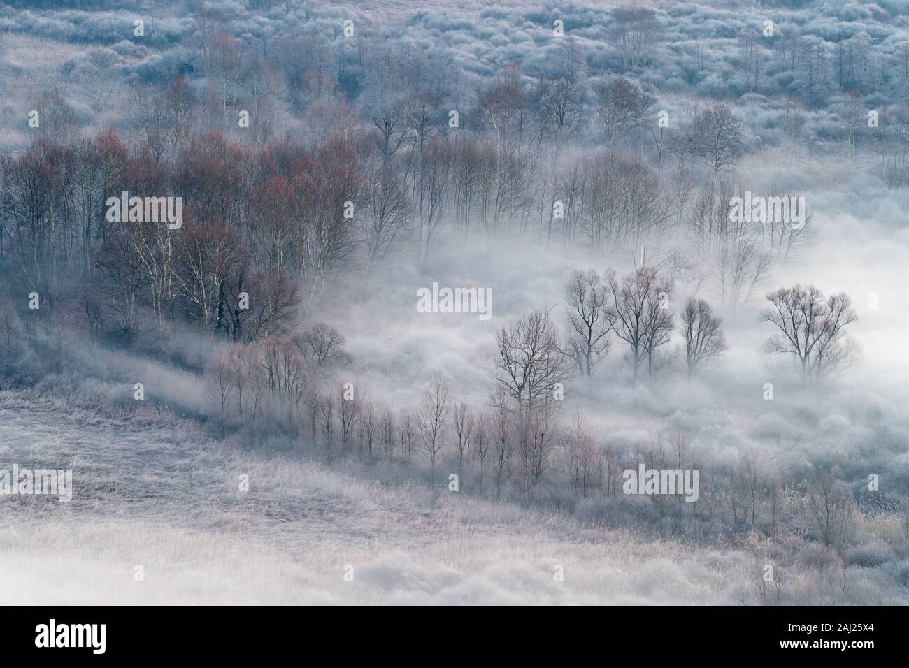 Biodiversity land use italy hires stock photography and images Alamy