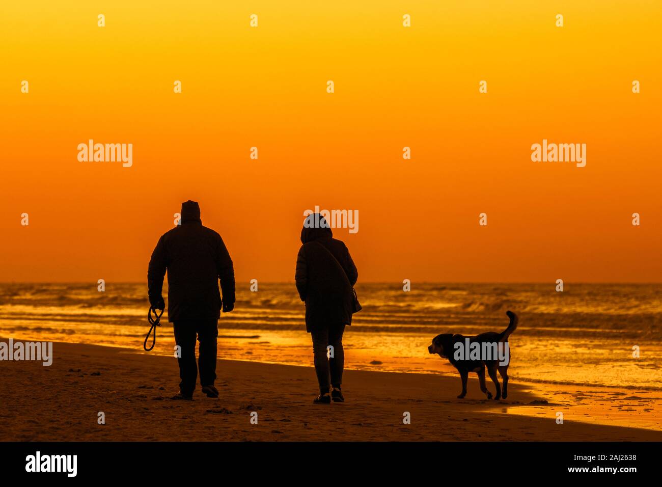 Couple with dog walking on the beach at sunset hires stock photography and images Alamy