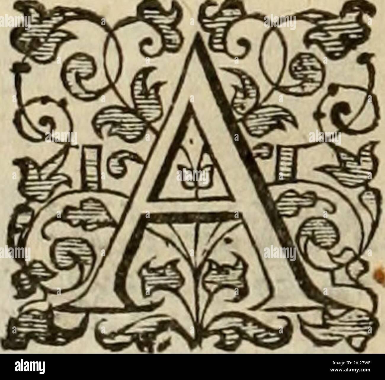 A Tracte Containing The Artes Of Curious Paintinge Caruinge Buildinge 5v T Gt V T T Iy 1c Gt It T T T V V V V Vv Vv Vva L A Ia W L If Gt St I4 Li A I Gt I A S I Ar