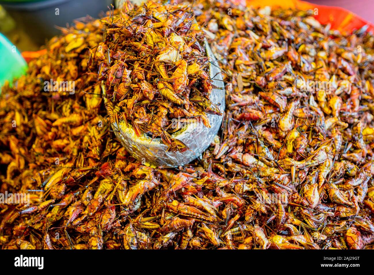 Cooked Grasshoppers High Resolution Stock Photography and Images - Alamy