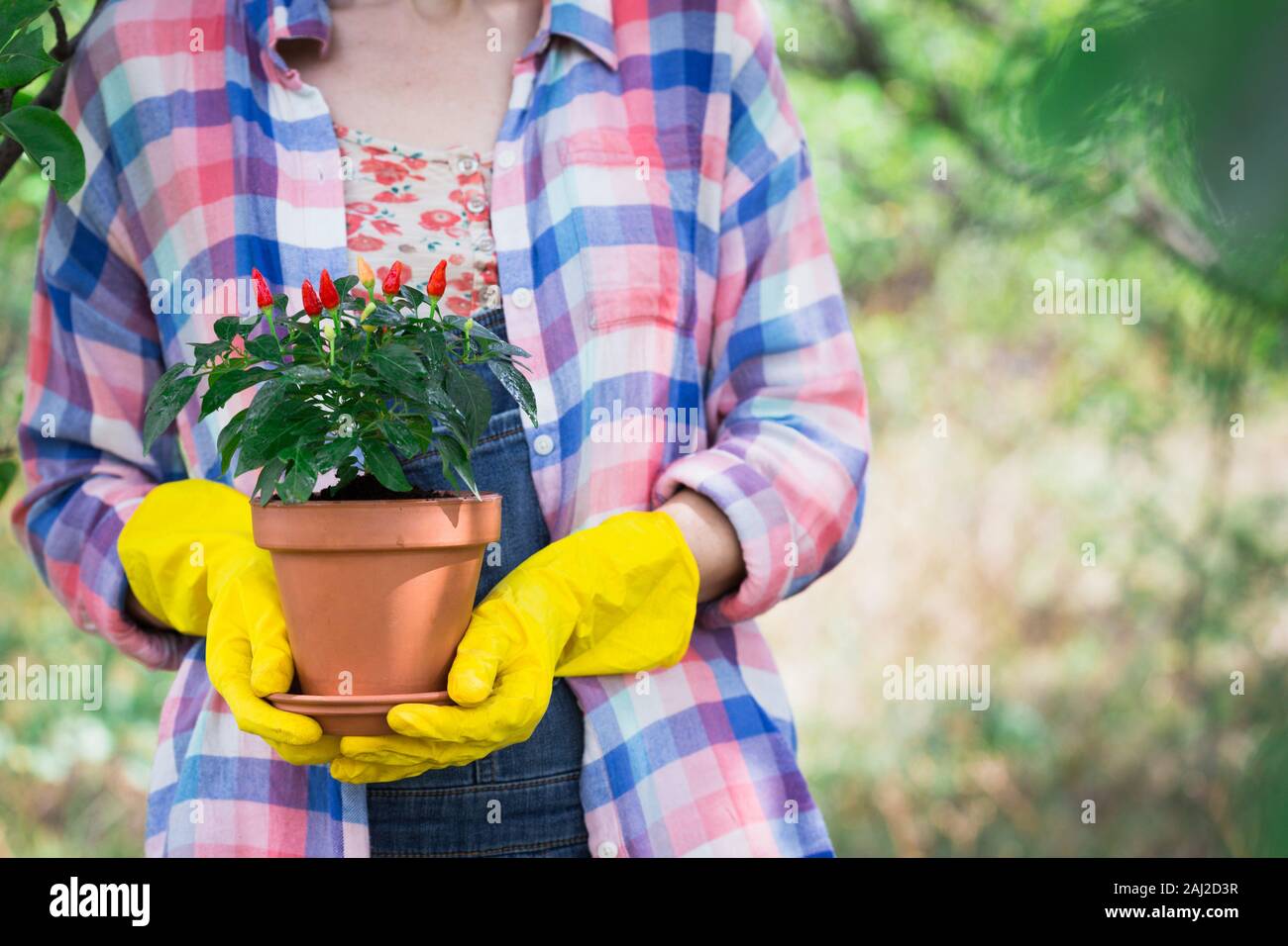 girl planting flowers in the garden. flower pots and plants for ...