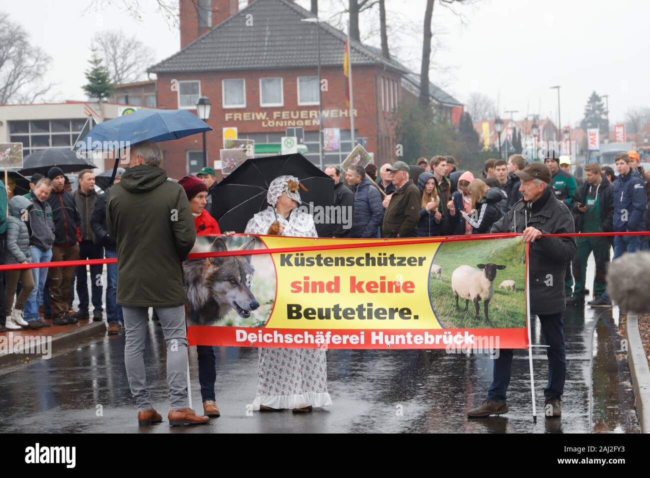 Schafe, Wolf, gerissen, Löningen, Cloppenburg, Bauern, Demo, Ministerpräsident Stephan Weil, Agrarpolitik. Lämmer, tot, Stock Photo