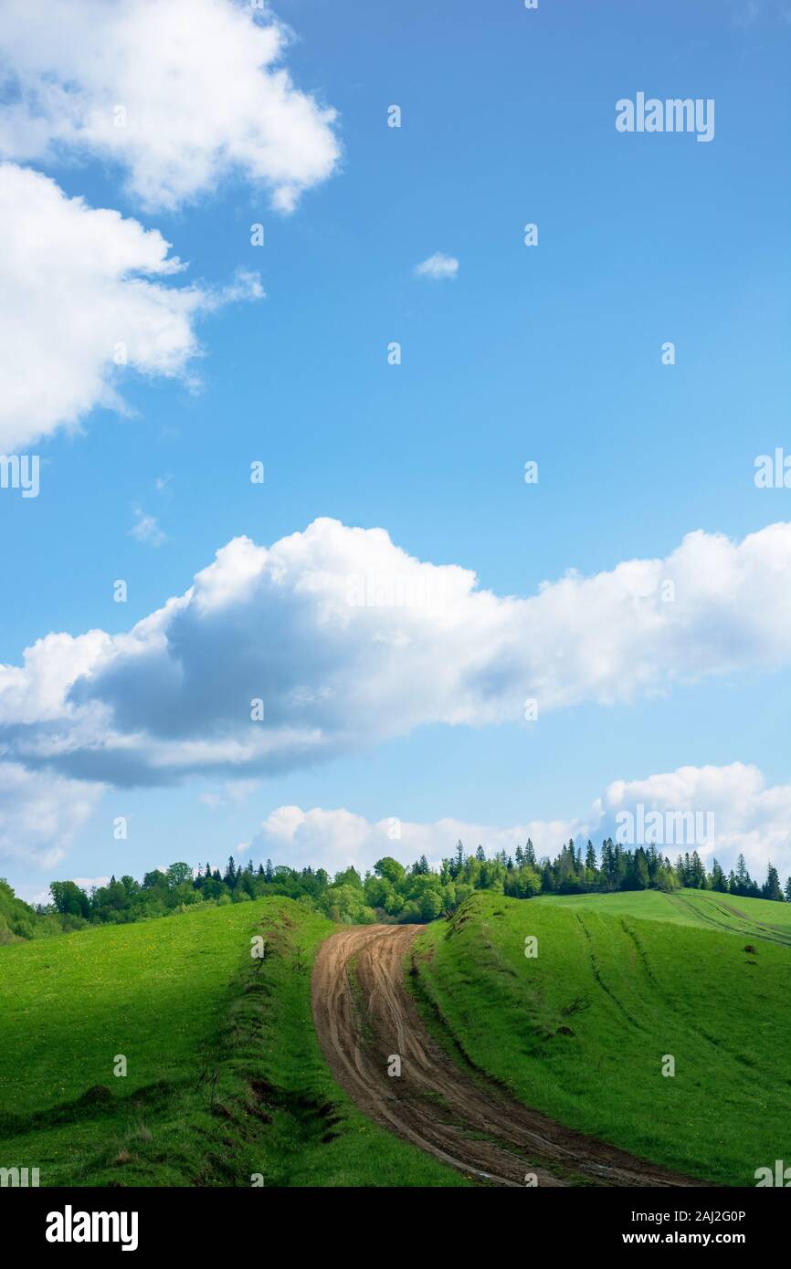 dirt road uphill the green hill. grass covered meadow in dappled light. path leads to coniferous forest in the distance. amazing blue sky with clouds Stock Photo