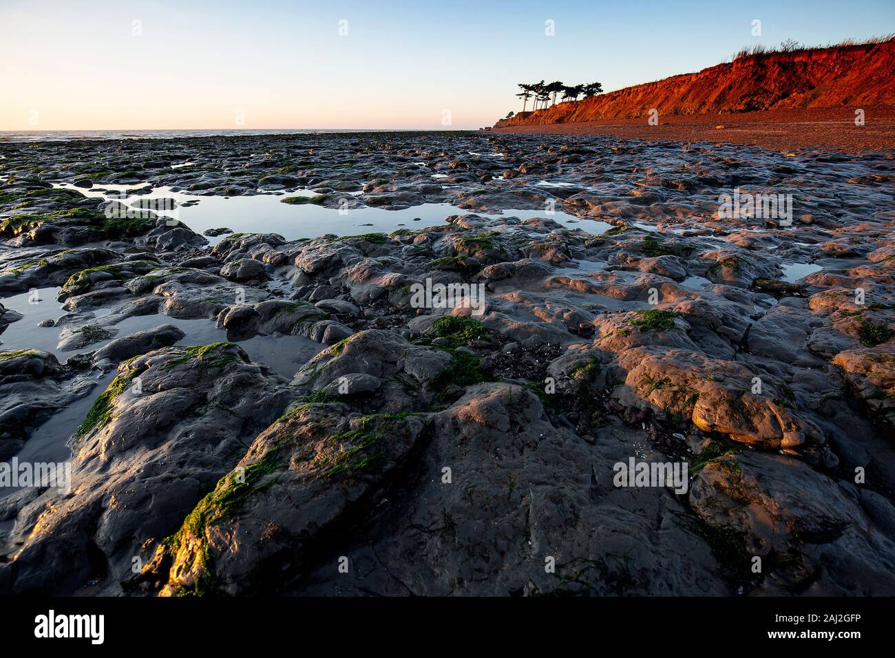 Beach and cliffs at low tide, Bawdsey, Suffolk Stock Photo