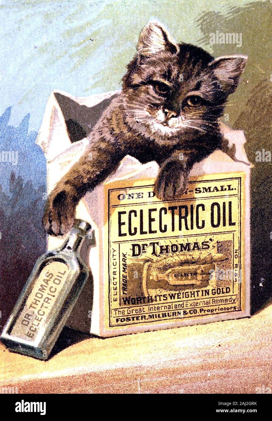 Victorian advertising card Dr. Thomas’ Eclectic Oil c. 1886 Victorian advertising card Dr. Thomas’ Eclectic Oil c. 1886